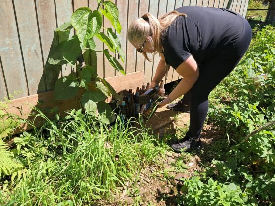Vigilância Ambiental realiza último LIRAa do ano em Roca Sales e reforça cuidados contra o Aedes aegypti