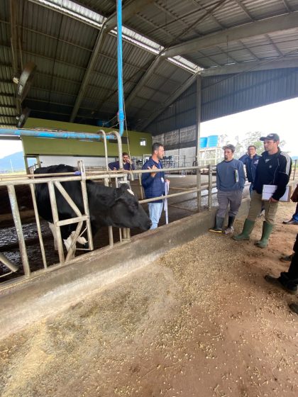 Produtor de Roca Sales participa de curso sobre dieta de vacas leiteiras em Teutônia